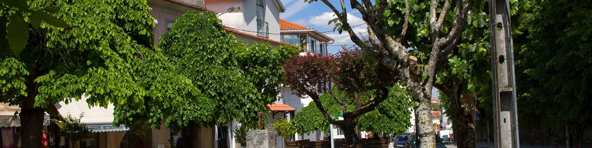 portuguese town Nelas