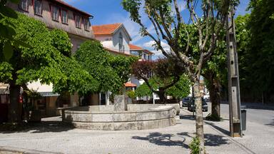 portuguese town Nelas