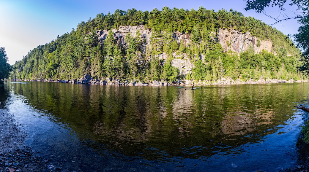 A calm lake with a forested island in the center.