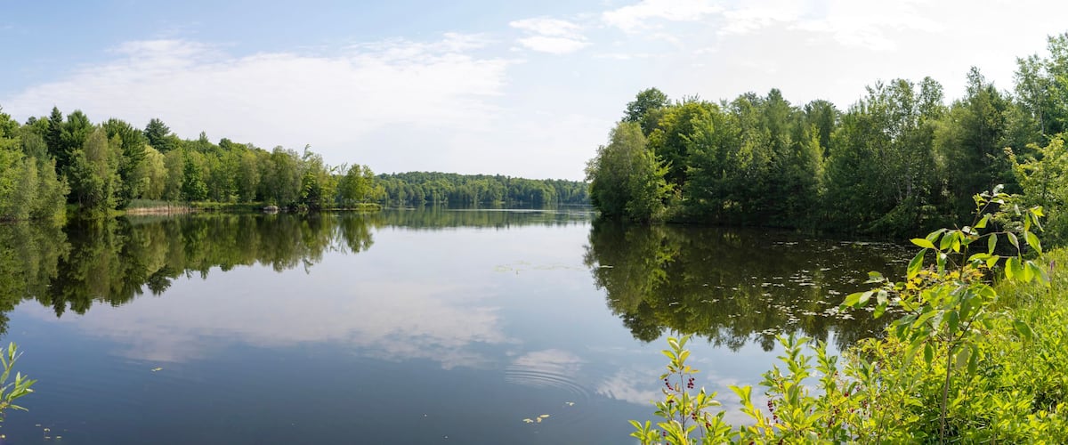 Panoramic view of the summer scene around a lake in the Laurentian region of Quebec