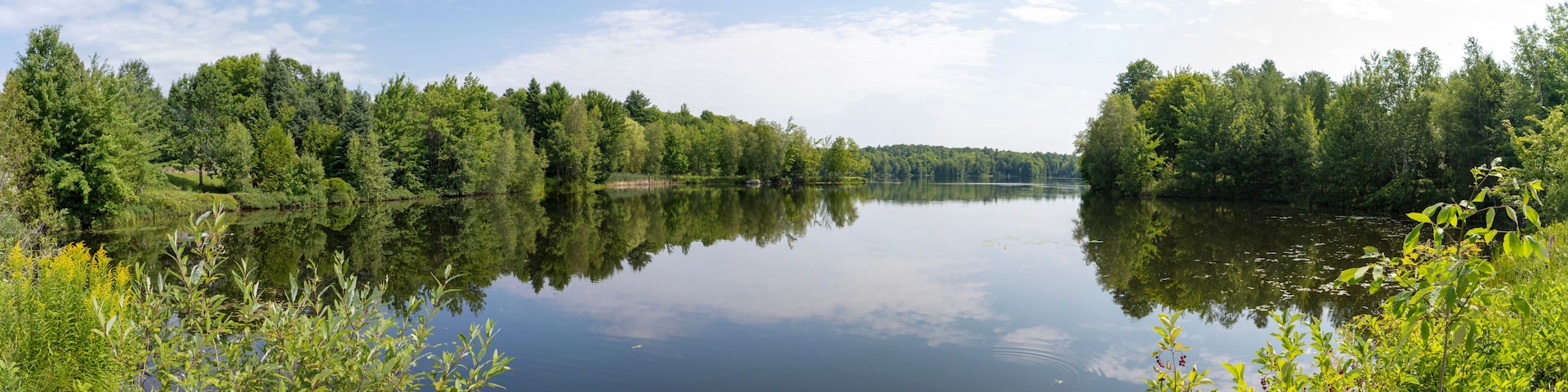 Ein ruhiger See, umgeben von dichtem Wald.