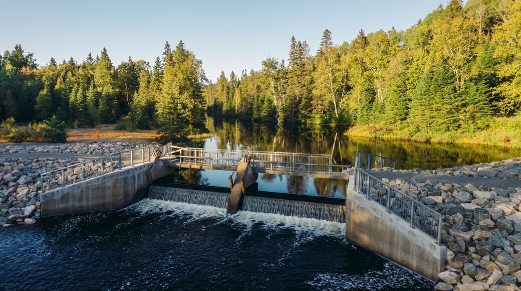 Small dam reservoir in the forest in the Laurentians, Saint-Donat, Quebec, Canada.