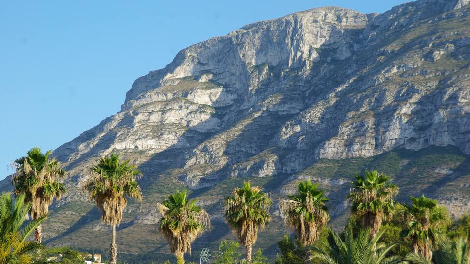 A mountain with palm trees in the foreground and a clear sky.