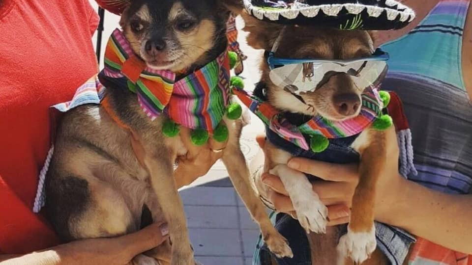 Hilton hotel in Daytona beach