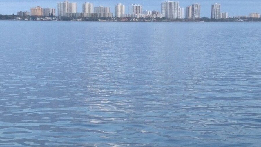 Riverfront Veterans Memorial Park. A grate view and a place for the kids to play
