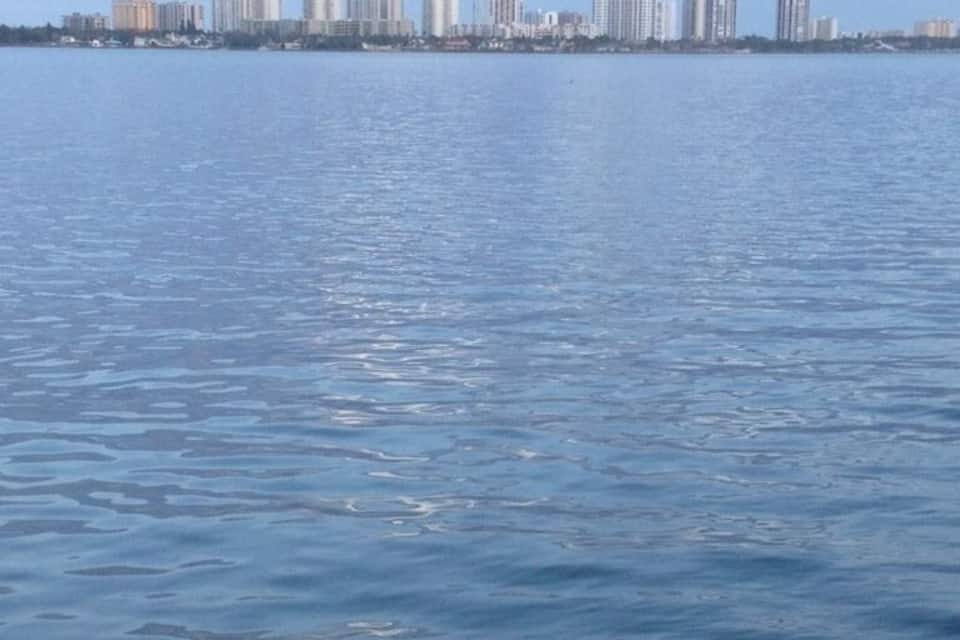 Una masa de agua tranquila con el horizonte de una ciudad al fondo.