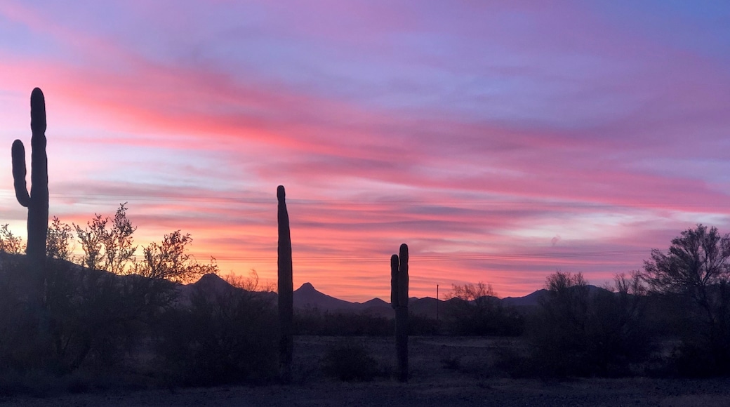 The sunsets in the desert are some of the most beautiful I’ve ever seen.
