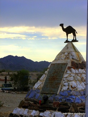 1856 US Gov't decided to use camels to move freight and people across the American Southwest... Hadji Ali (affectionately called Hi Jolly) a Syrian caretaker was hired for the job.
This is the monument in Quartzsite AZ in memory of Hi Jolly.
The Civil War began and the project was abandoned.
The camels were set free to wander the Arizona desert