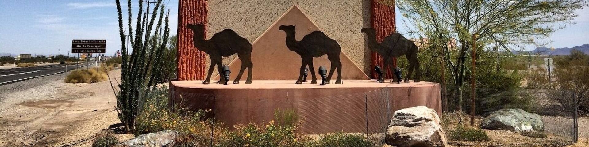 A sign with 'QUARTZSITE' and camel sculptures.