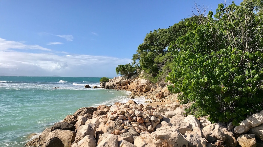 Hanging out a beautiful beach in Haiti..,