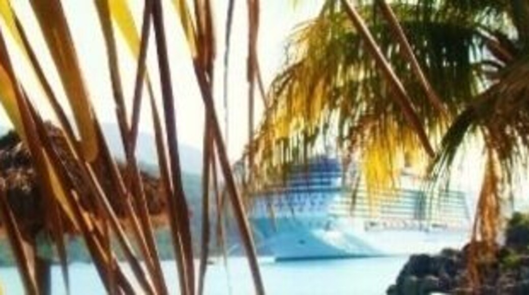 Fabulous 1st cruise in 2009, stopped at Labadee in Haiti where Deb and I did the zip line, highly recommended.