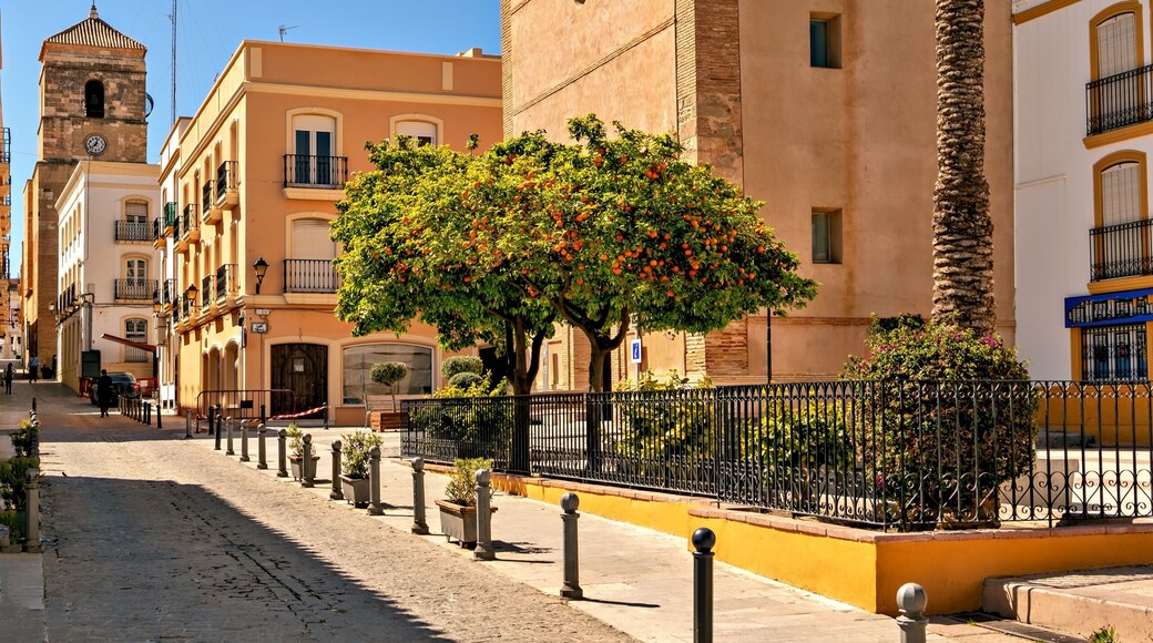 Cityscape of the Mediterranean city of Vera in the province of Almeria, southern Spain.
