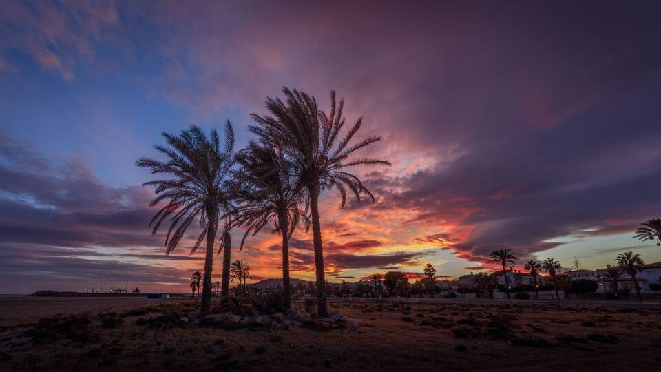 A sunset over a beach with palm trees and a distant shoreline.