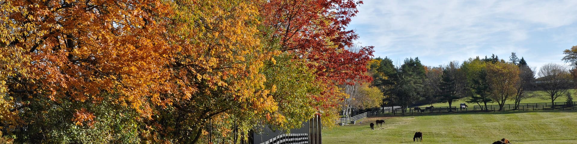 King City, Ontario / Canada - 10/17/2008: Horse farm with fences in fall color in Ontario, Canada.