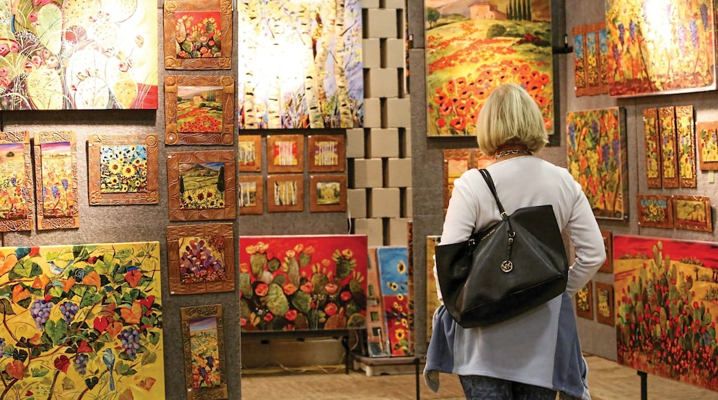 Midland mettant en vedette scÚnes intérieures et art aussi bien que une femme seule