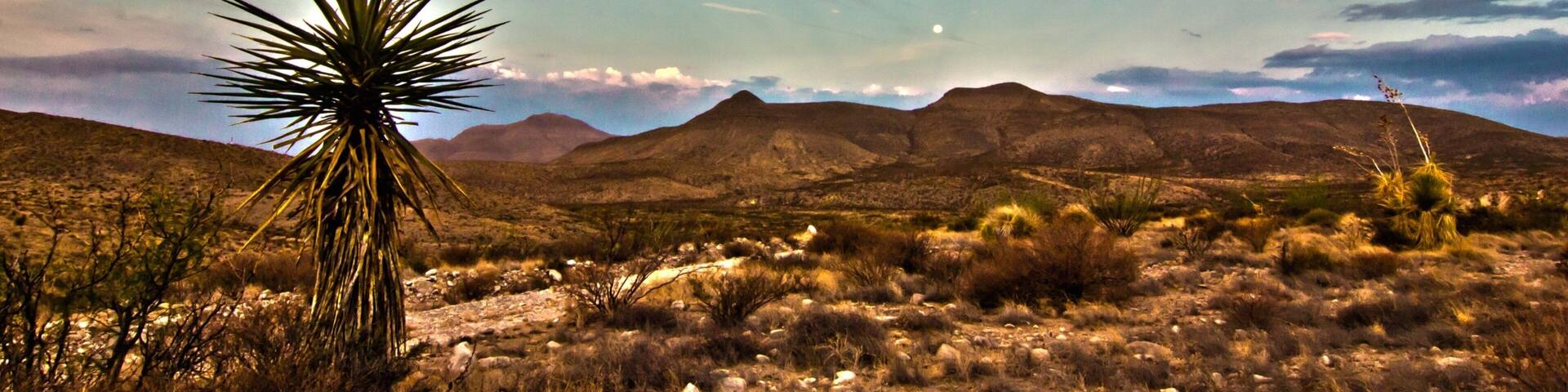 Midland featuring desert views, landscape views and a sunset