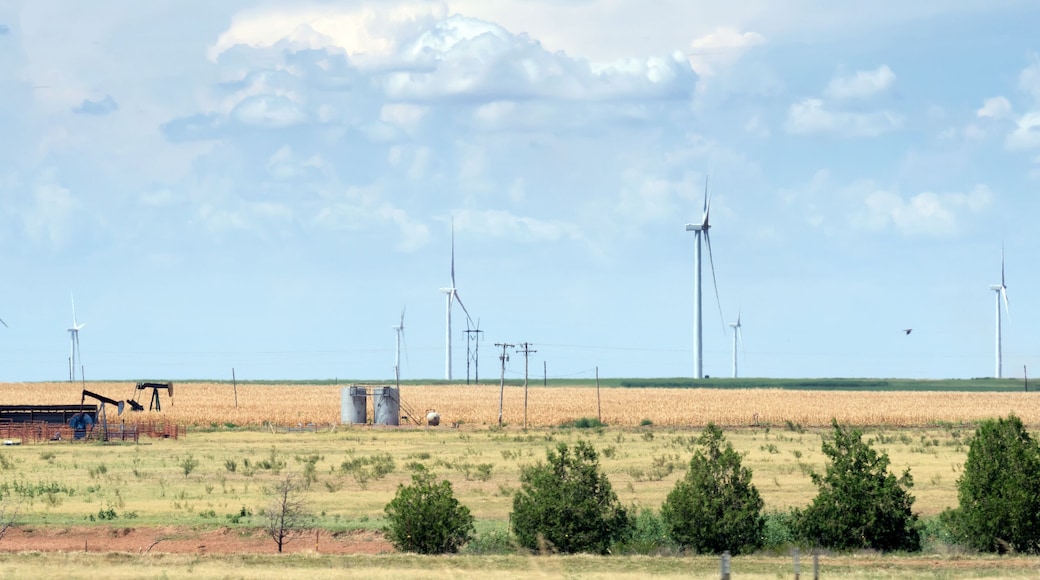 A wind farm with multiple wind turbines in a field.