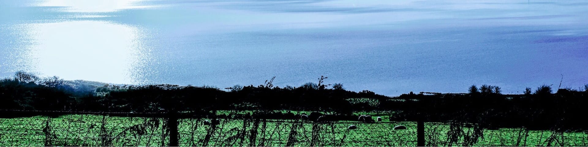 An amazing area of peace and tranquility. Blessington lakes, co Wicklow