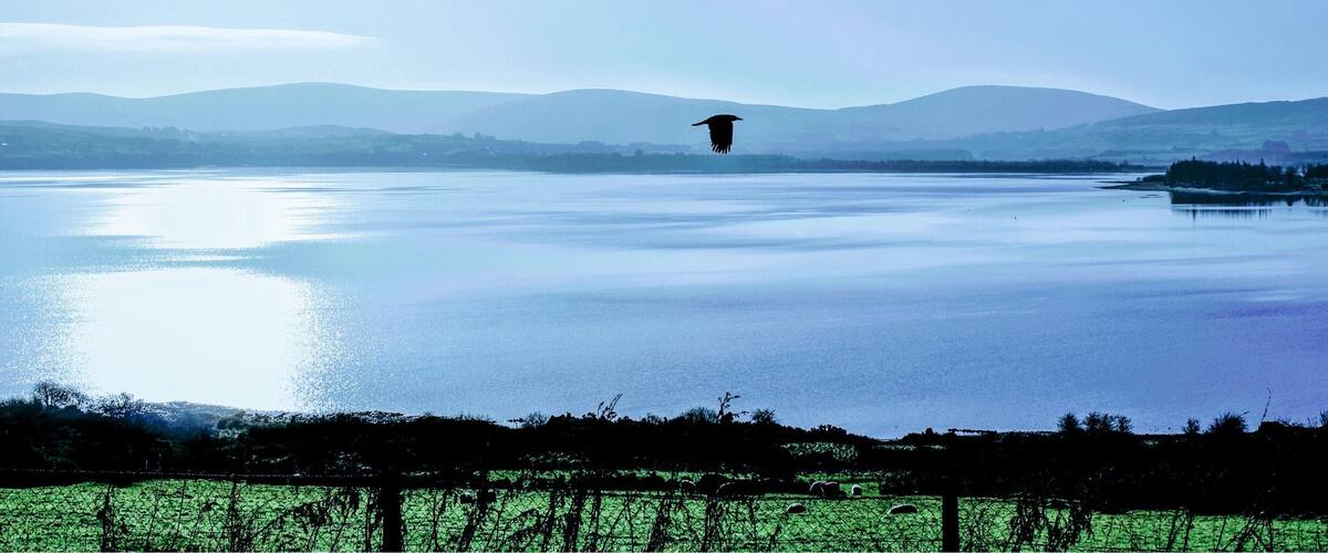 A calm lake with mountains in the background and a bird flying over the water.