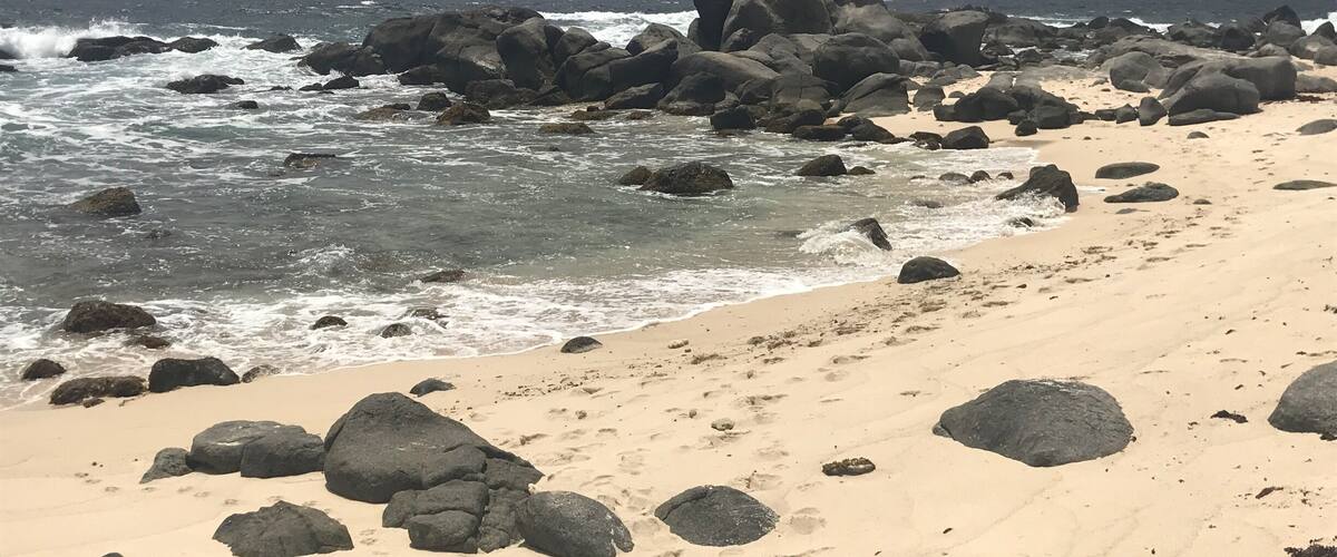 Black rocks beach at eastern coast in Aruba.