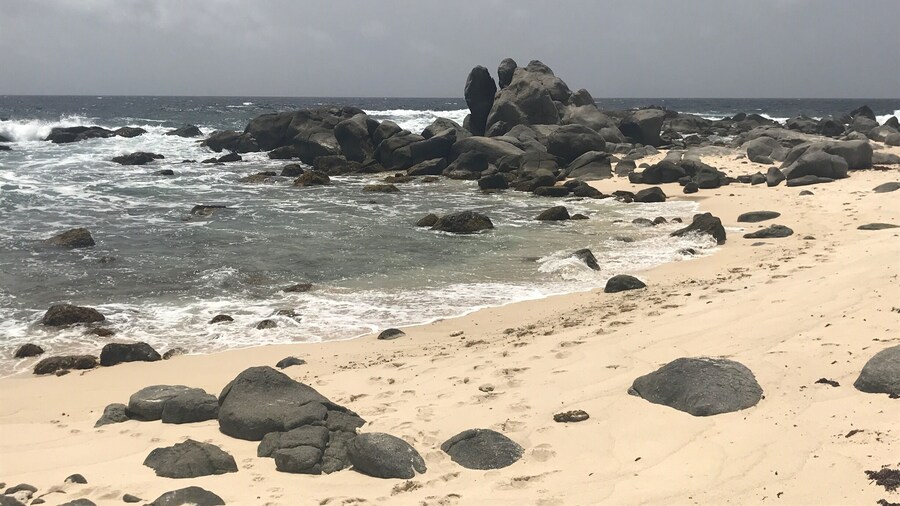 Black rocks beach at eastern coast in Aruba.