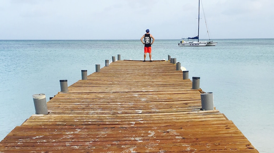 Aruba has the best pristine aqua beaches in the world, the friendliest people in the Caribbean and never ending activities awaits evevryone who wants adventures🌴🌵🏖