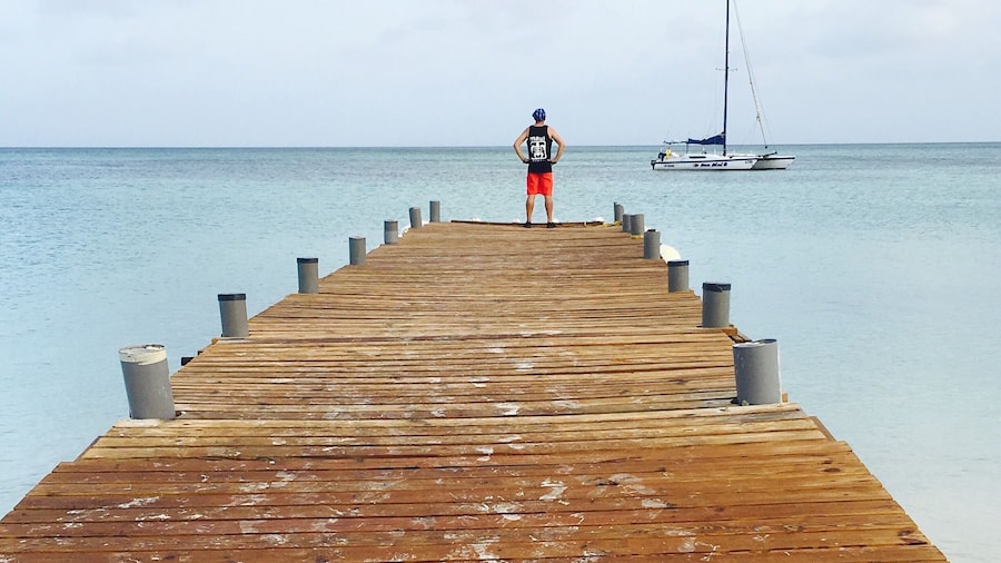 Aruba has the best pristine aqua beaches in the world, the friendliest people in the Caribbean and never ending activities awaits evevryone who wants adventures🌴🌵🏖