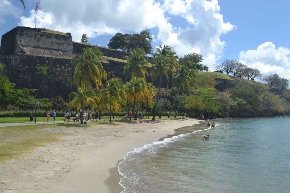 A beach with palm trees, a sandy shore, and a large stone structure in the background.