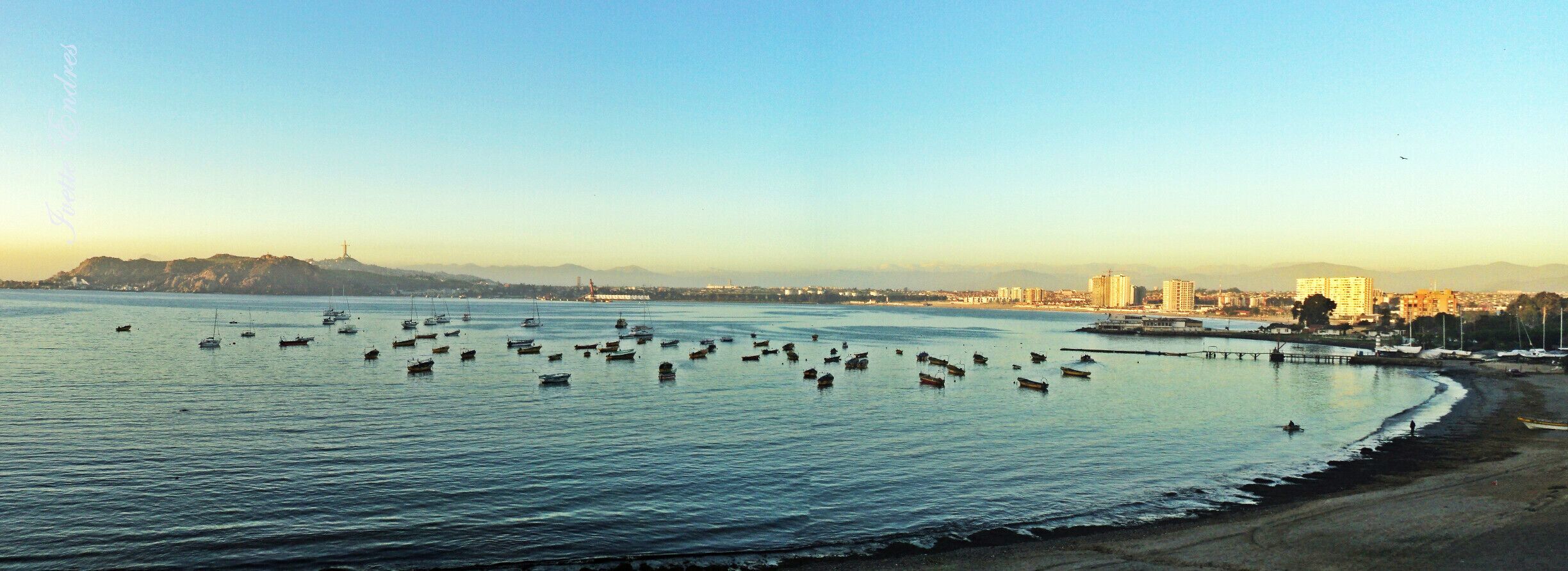 A coastal cityscape with numerous boats on the water, a prominent hill in the background, and a mix of residential and commercial buildings along the shore.