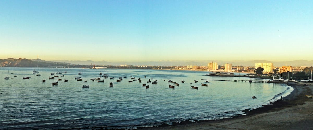 A coastal cityscape with numerous boats on the water, a prominent hill in the background, and a mix of residential and commercial buildings along the shore.