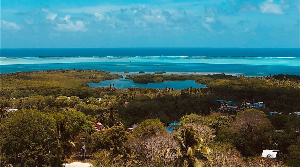 Breathless Blue Views from the hills at San Andrés Island in beautiful 🇨🇴. Thinking Beach 🤔? Think Colombia! #LifeAtExpedia
#BVSBlue