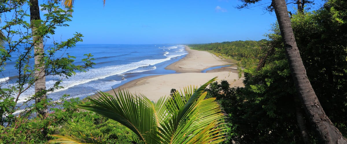 A beach with palm trees and ocean waves.