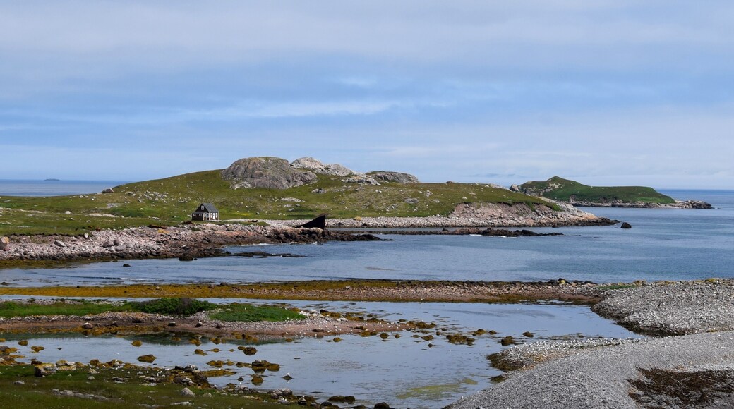 coastline landscape along Ile aux Marin, Saint Pierre and Miquelon