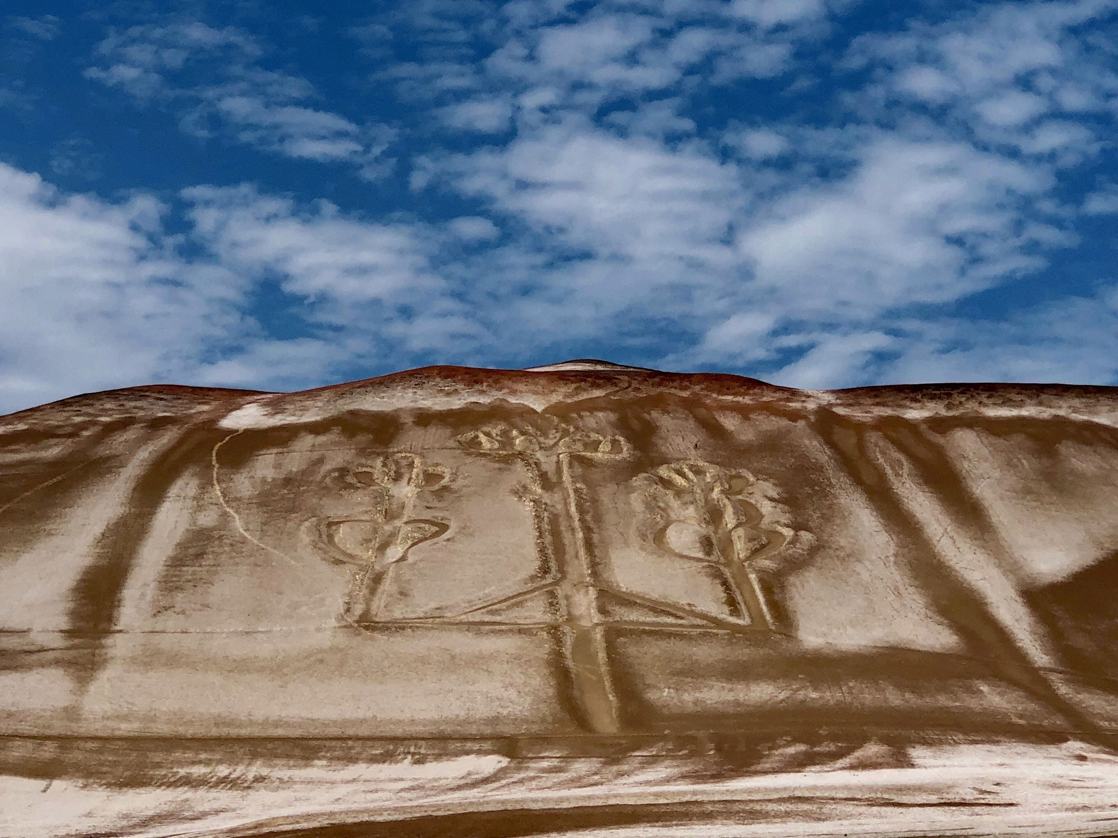 A desert landscape with a large rock formation featuring carved plant and tree designs.