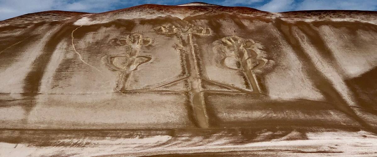 A desert landscape with a large rock formation featuring carved plant and tree designs.