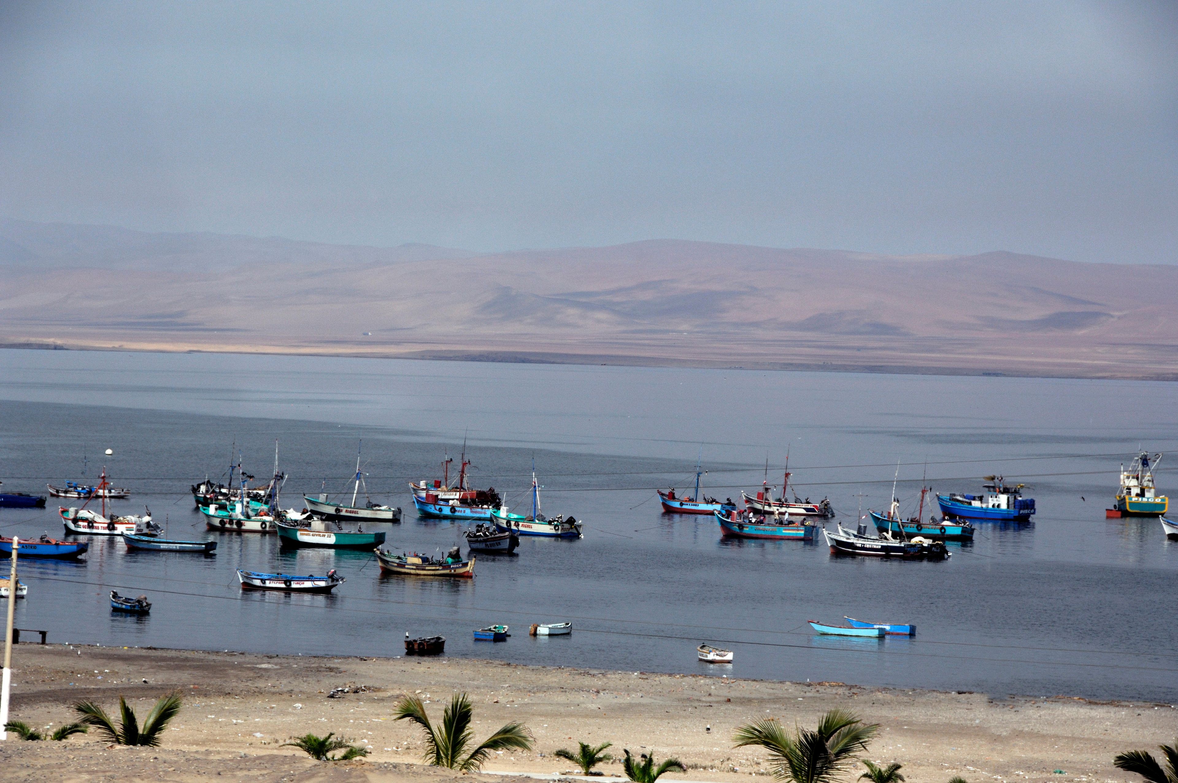 Peru, San Martin. Small fishing port of San Martin with desert landscape in the distance.