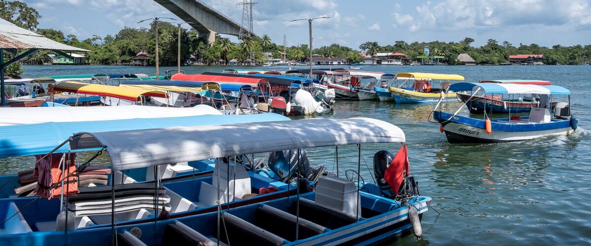 A marina with various boats docked under a bridge.