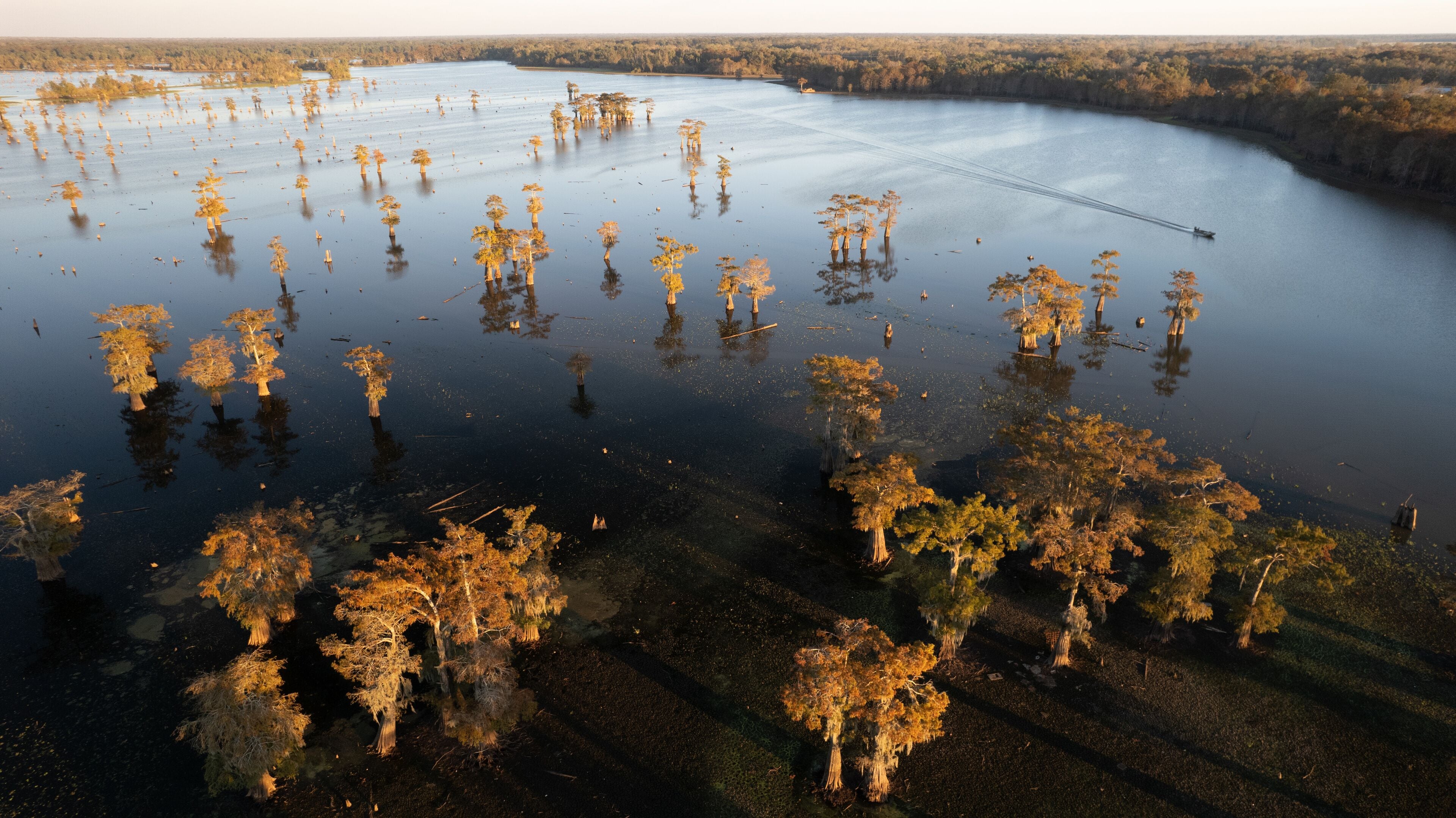 Atchafalaya Basin sunset aerial view