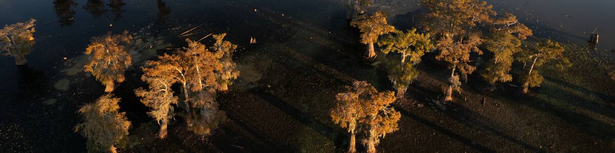 Atchafalaya Basin sunset aerial view