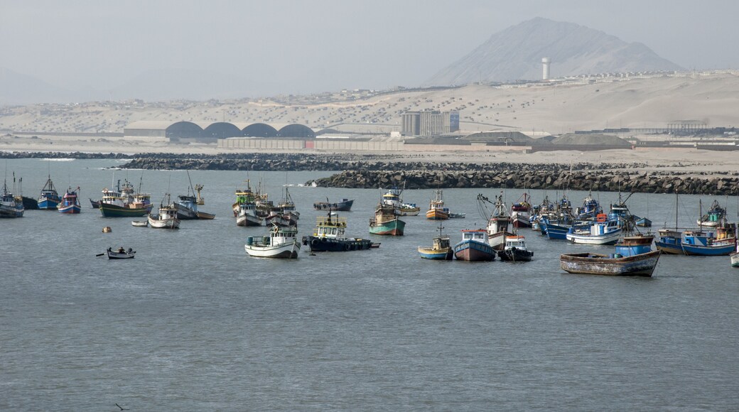 Town and fishing boats, Salaverry, Trujillo, Peru