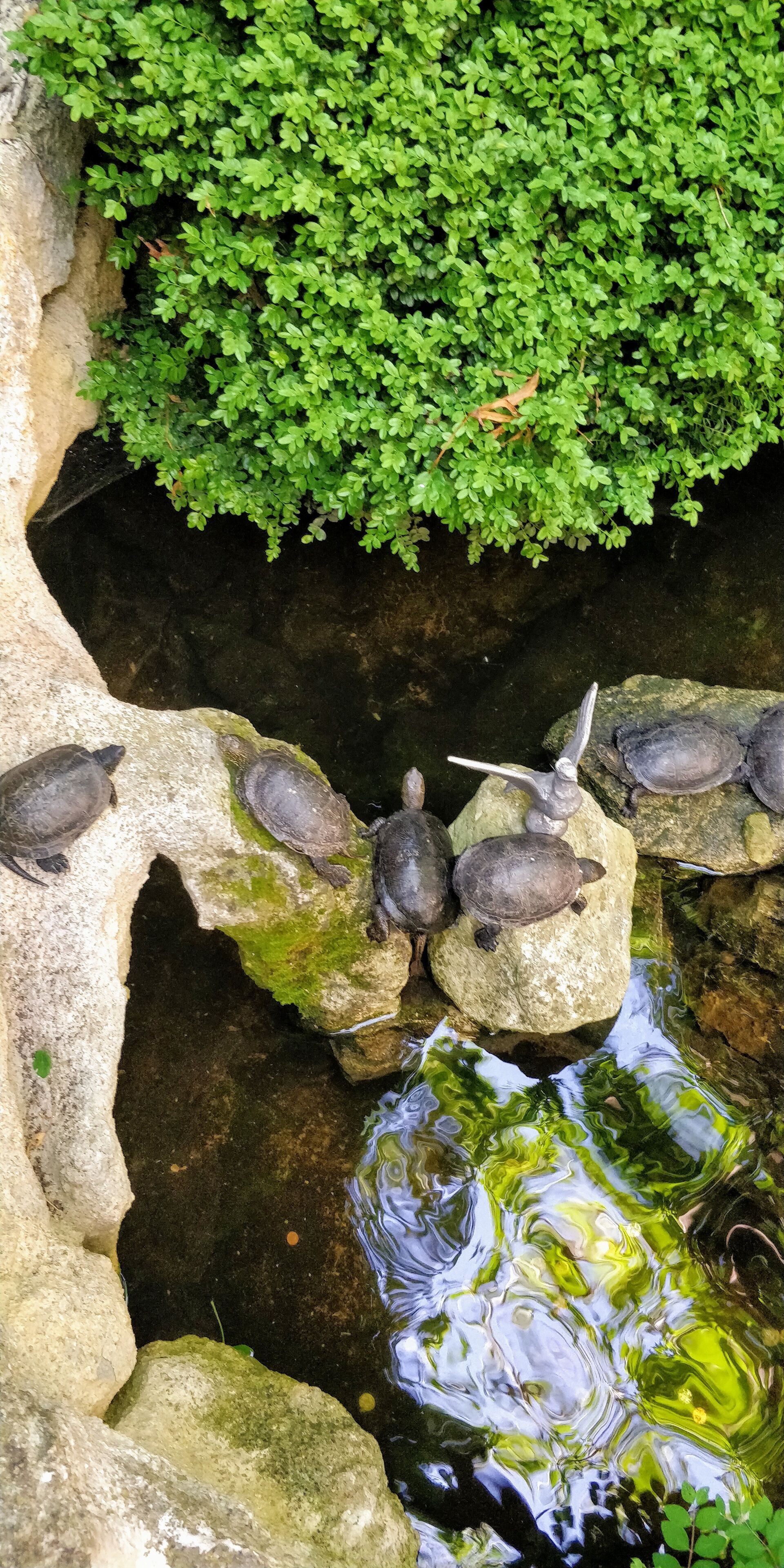 Absolutely loved this Place.. 😬