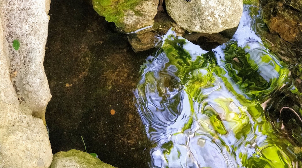 Absolutely loved this Place.. 😬