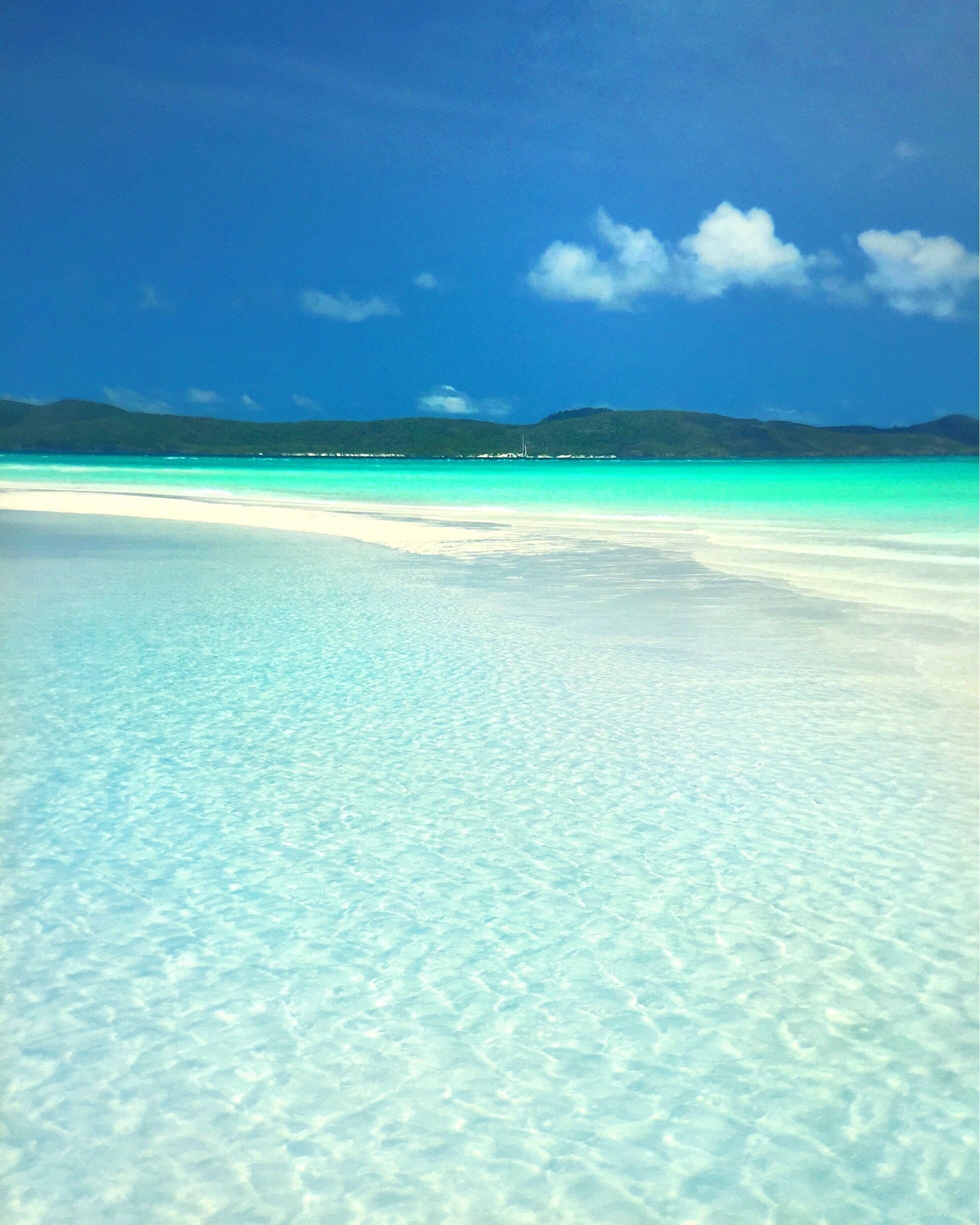 It doesn't matter how many times I visit Whitehaven beach, I'm always blown away by its incredible natural beauty! Can't wait to get back up there again soon! ☀️🐠🐟🌴😀
#lovewhitsundays #thisisqueensland #seeaustralia #olloclip 