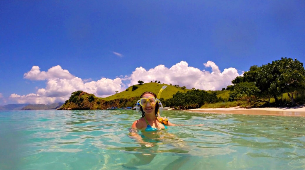 I love secluded beaches. Warm, clean waters and snorkeling with turtles not far from shore. You can hire a boat from Labuan Bajo and camp on the beaches, or go with FloresXP for an adventurous trip. #waterlust
