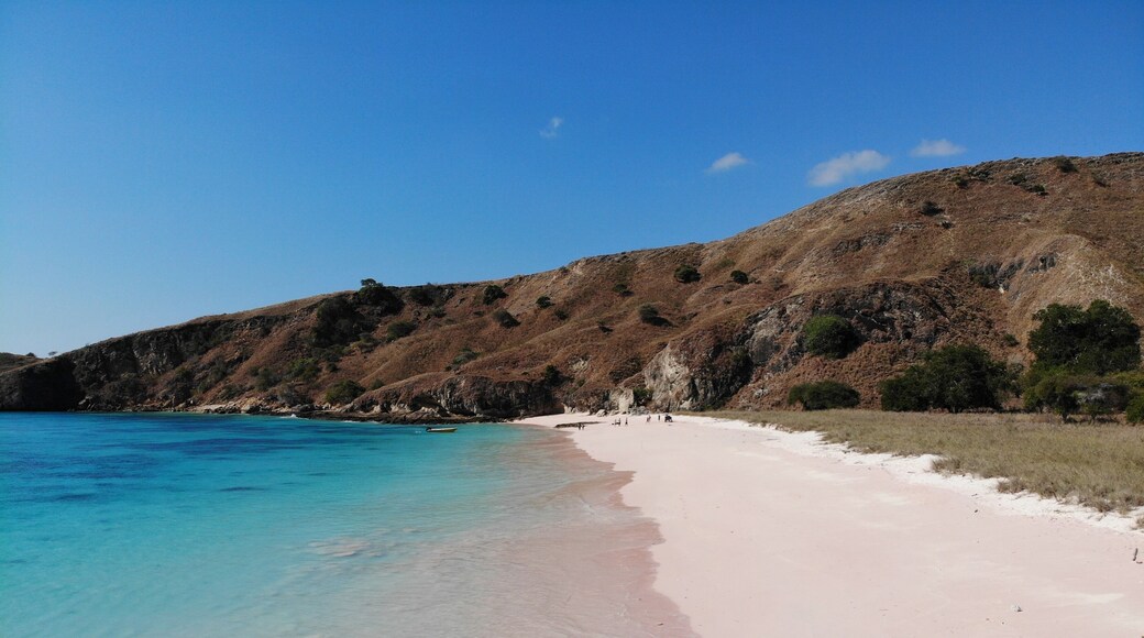 Pink beach near Padar a Island. The pink colour is created by the broken corals