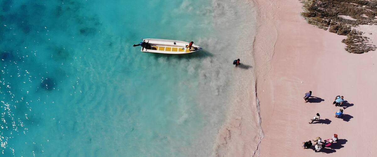 Pink beach from drone view