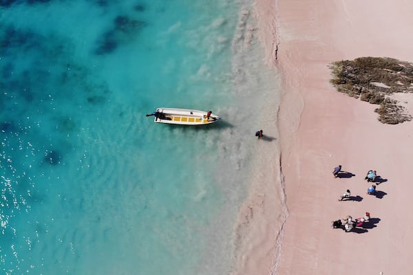 Pink beach from drone view