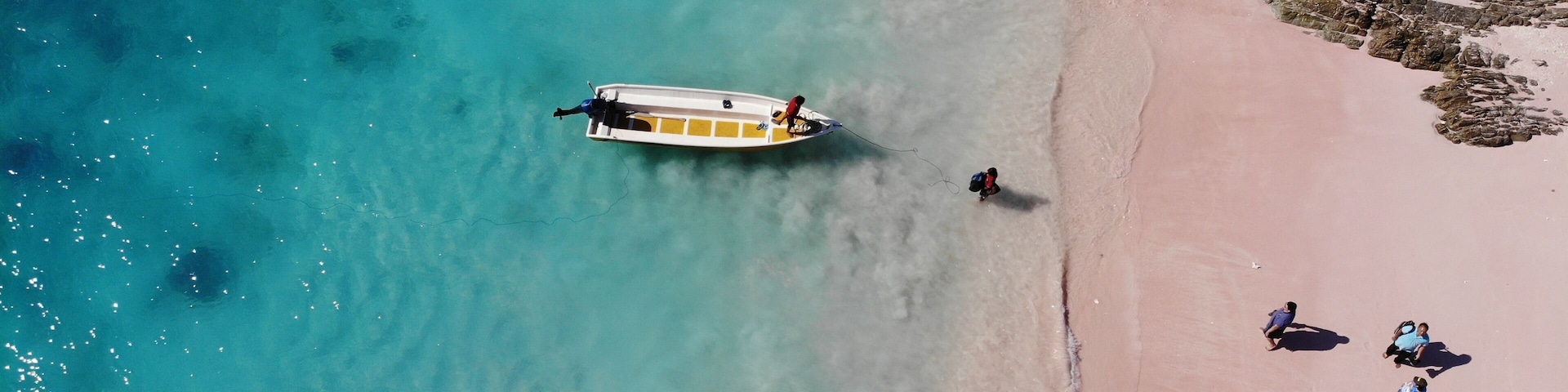 Pink beach from drone view