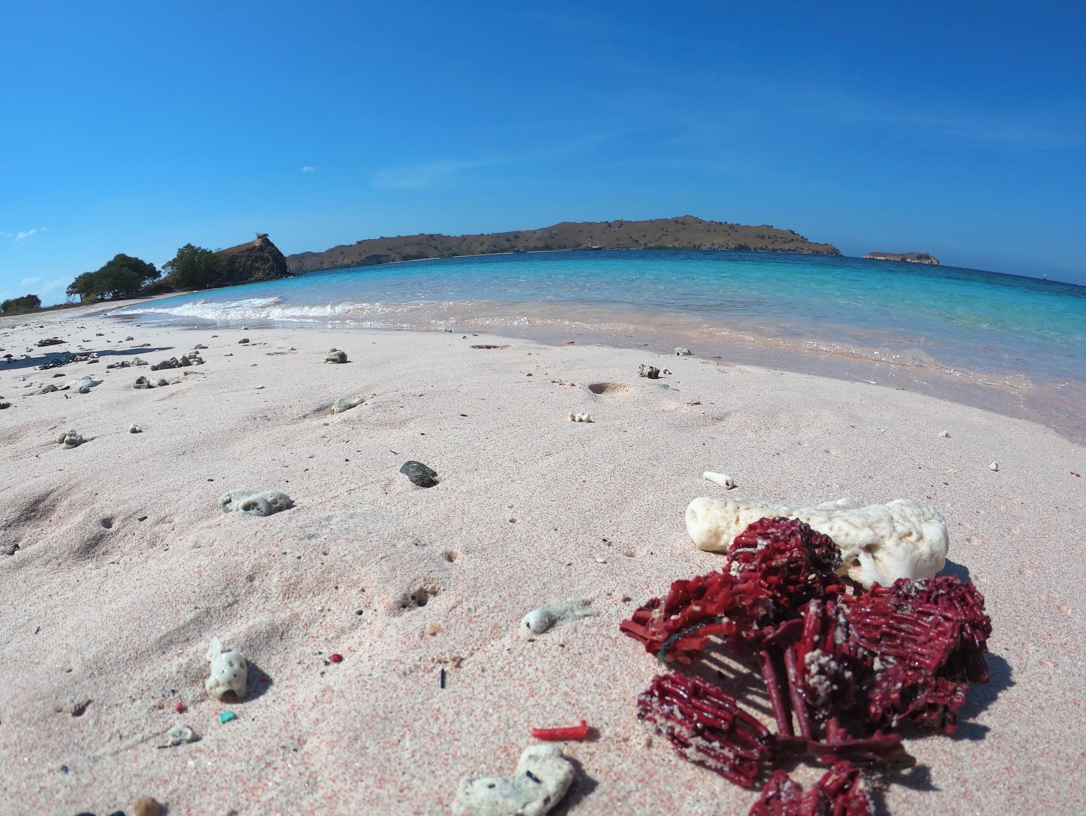 This is another pink beach near Loh Liang. The pink colour is because of the broken red corals in the photo