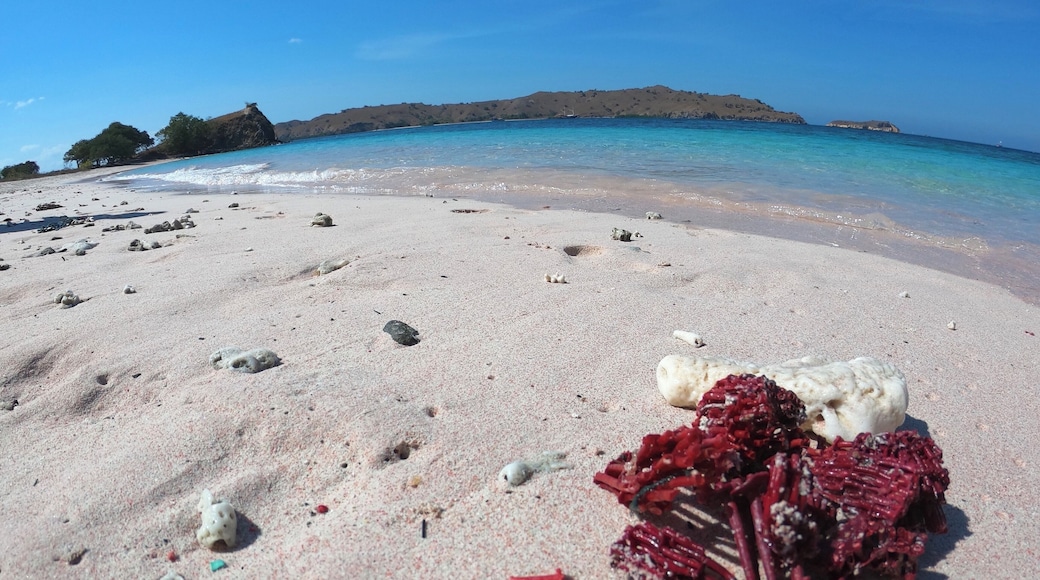 This is another pink beach near Loh Liang. The pink colour is because of the broken red corals in the photo
